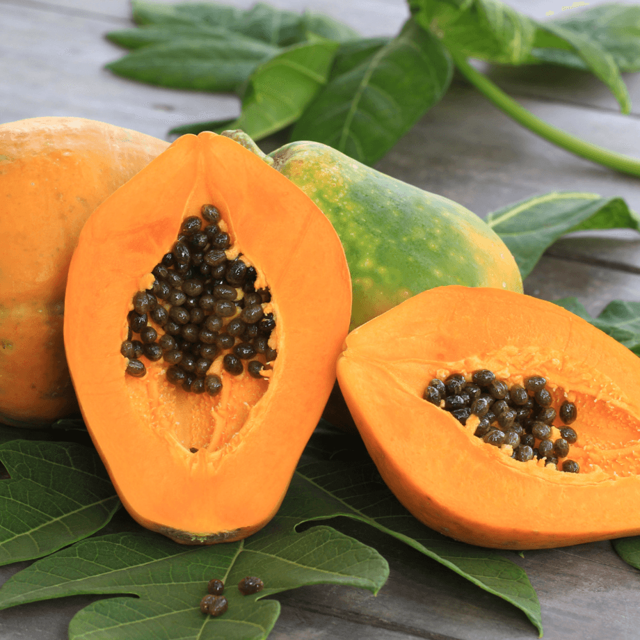 Papaya seeds agrotechnic growing guide