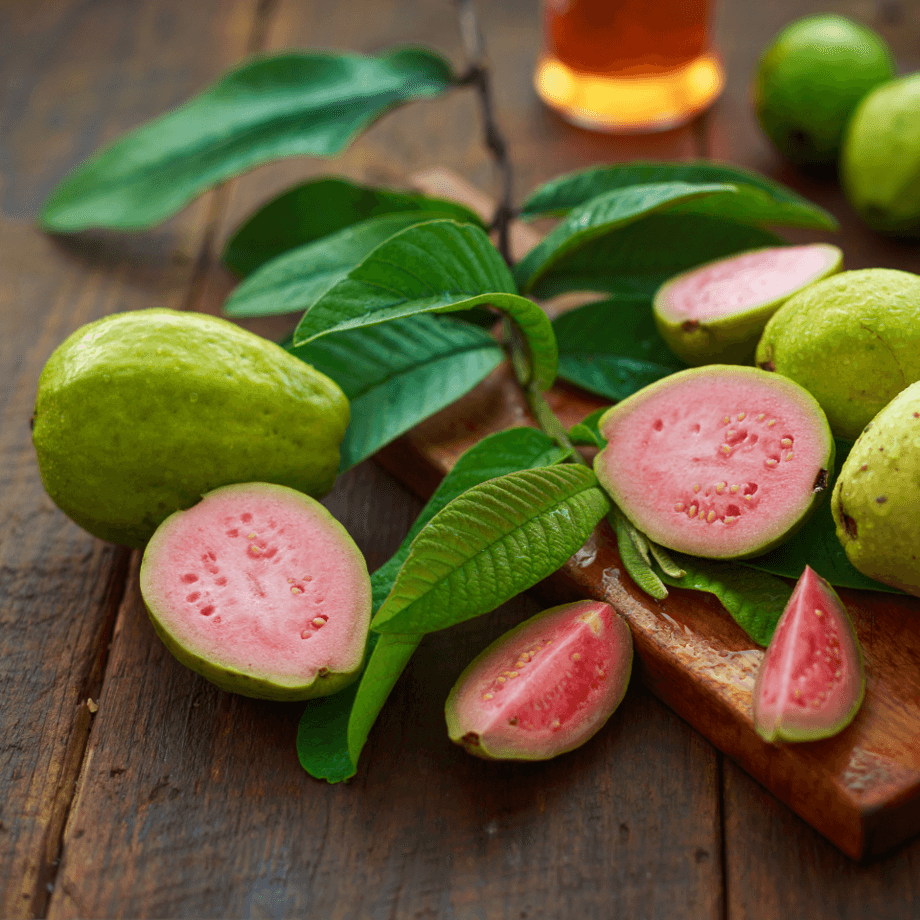 Guava seeds agrotechnic growing guide