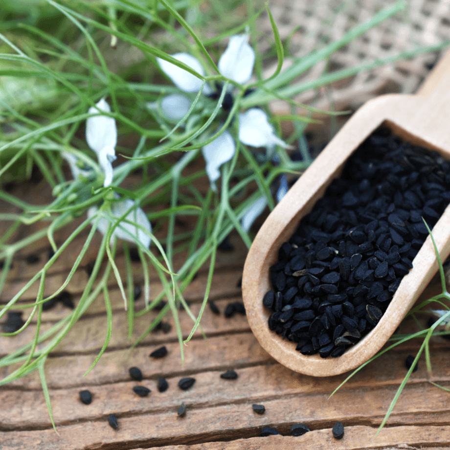 Black cumin seeds agrotechnic growing guide