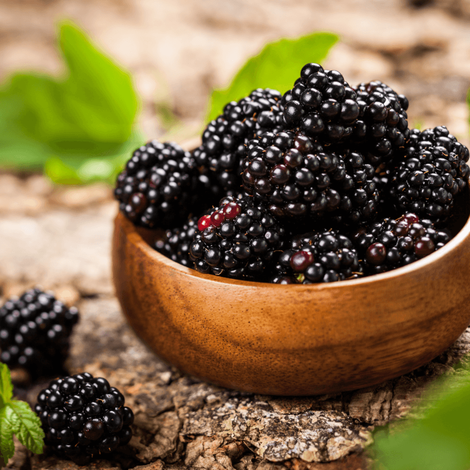 Blackberry seeds agrotechnic growing guide