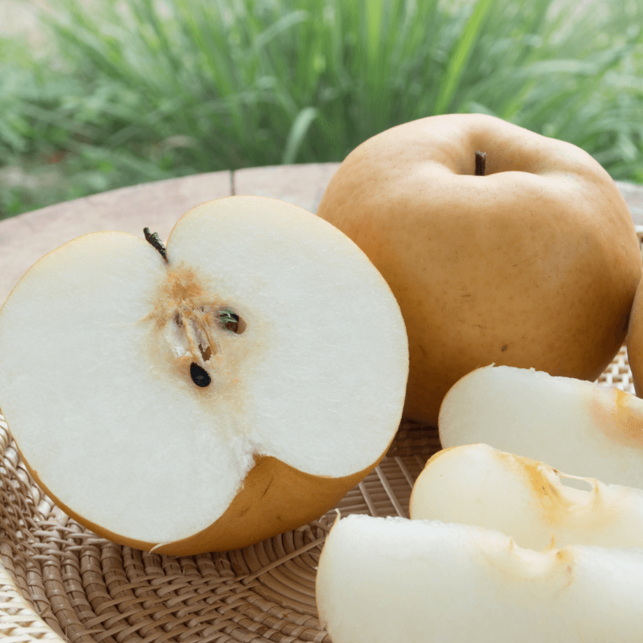 Pear seeds agrotechnic growing guide