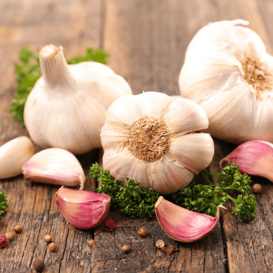 Garlic seeds agrotechnic growing guide