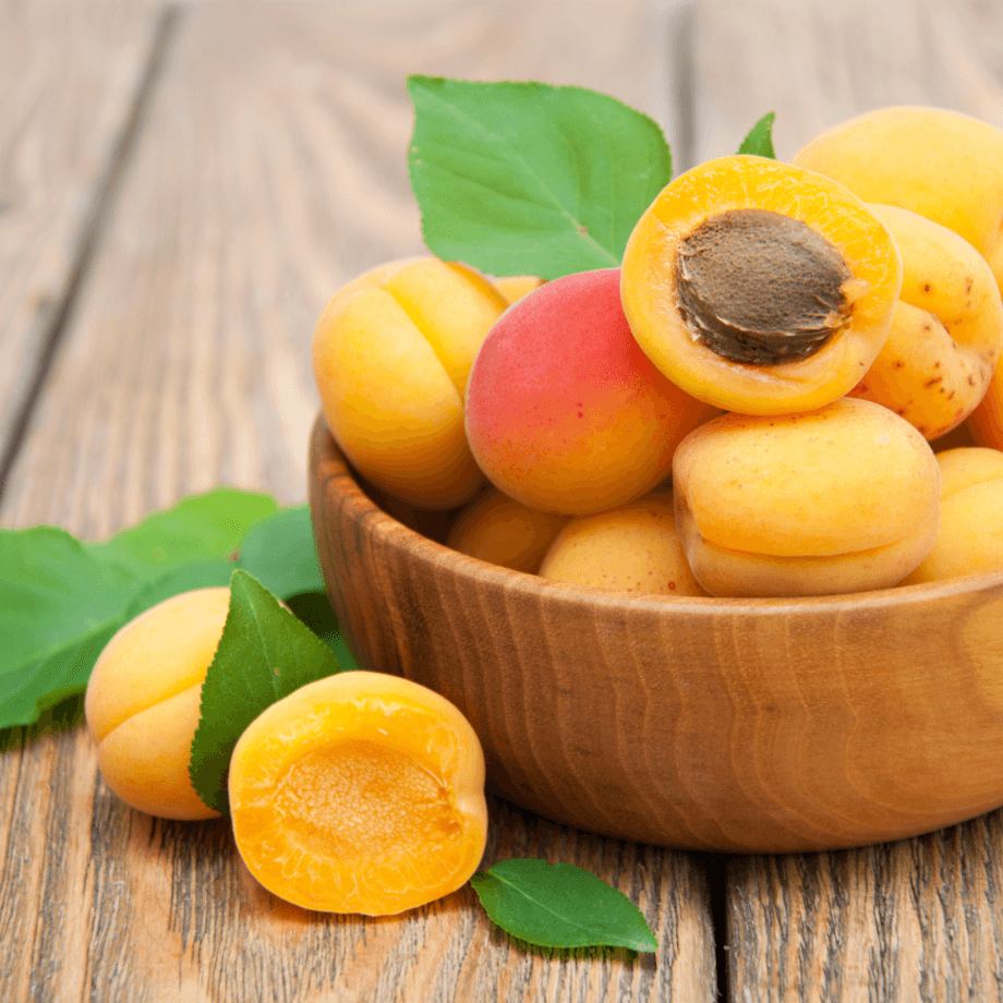 Apricot seeds agrotechnic growing guide
