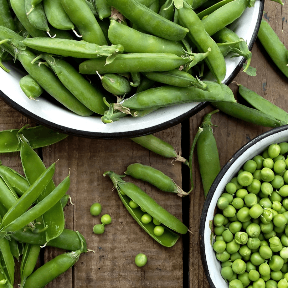 Pea seeds agrotechnic growing guide