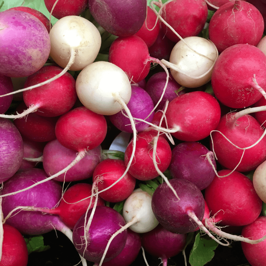 Turnip seeds agrotechnic growing guide