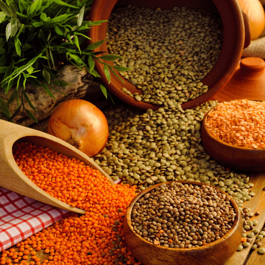 Lentil seeds agrotechnic growing guide