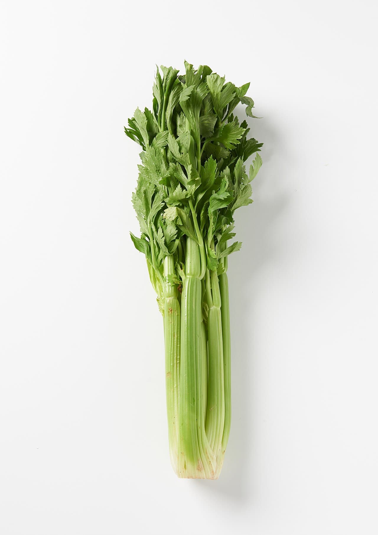 Tall Utah Celery Seeds