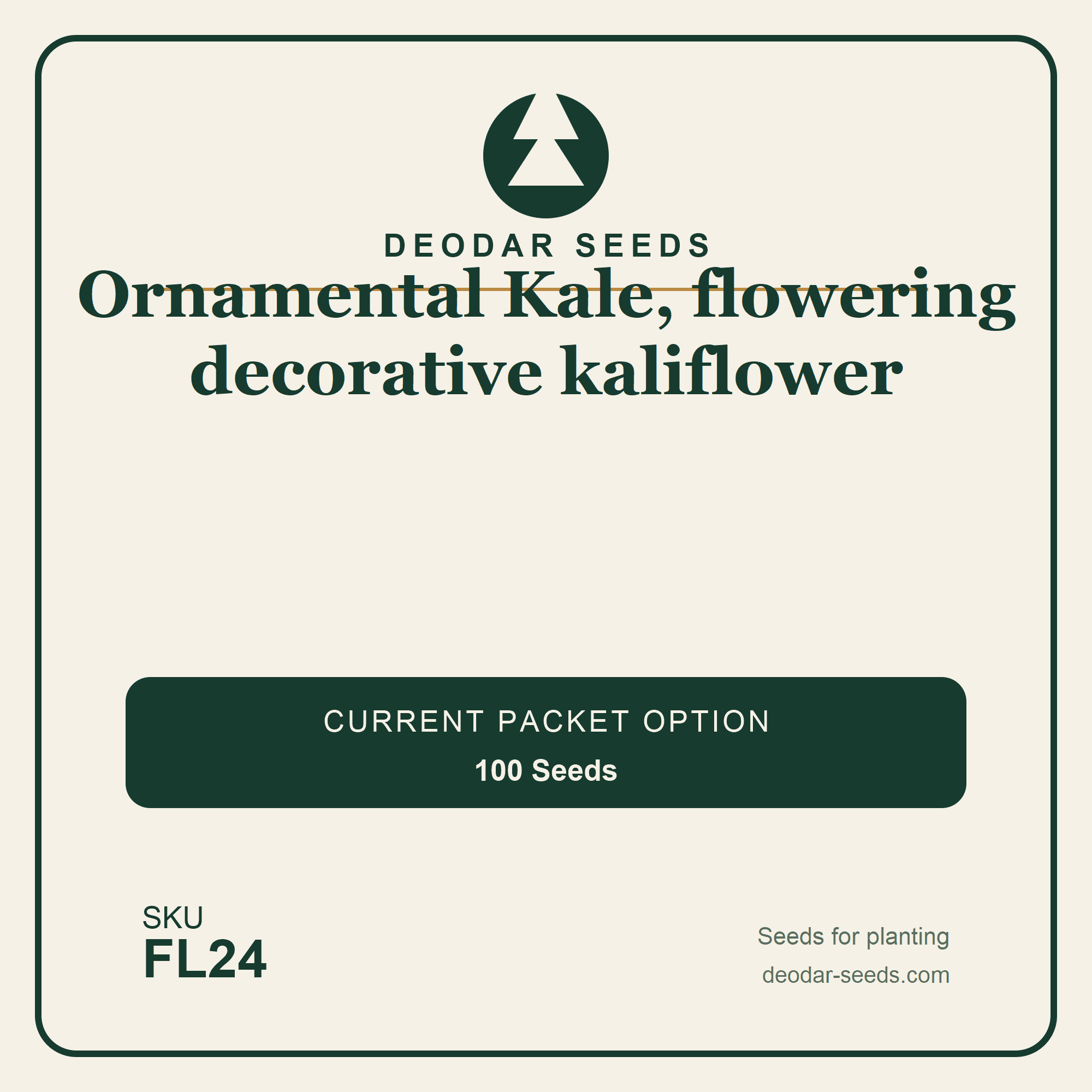 Ornamental Kale, flowering decorative kaliflower Seeds