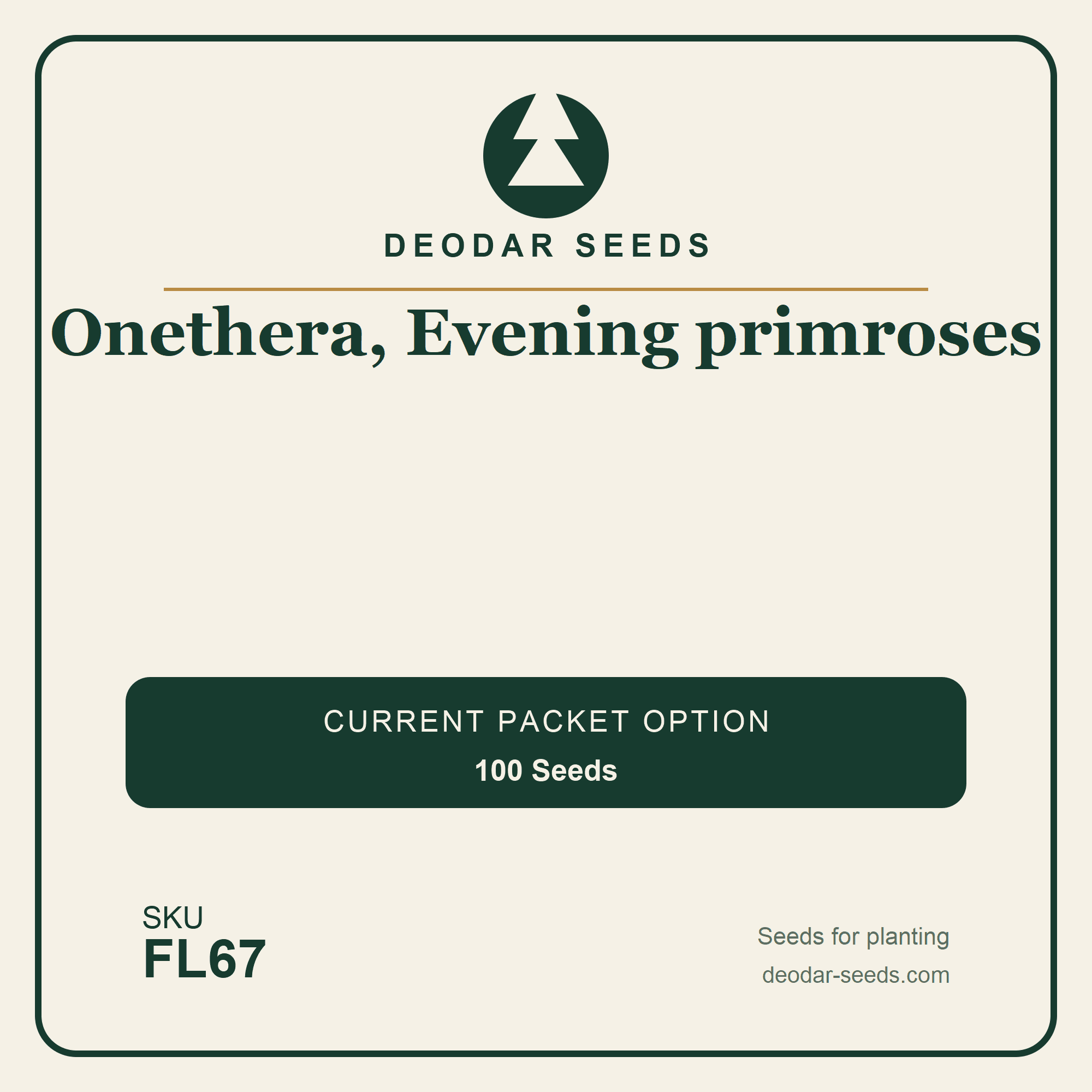 Onethera, Evening primroses Seeds