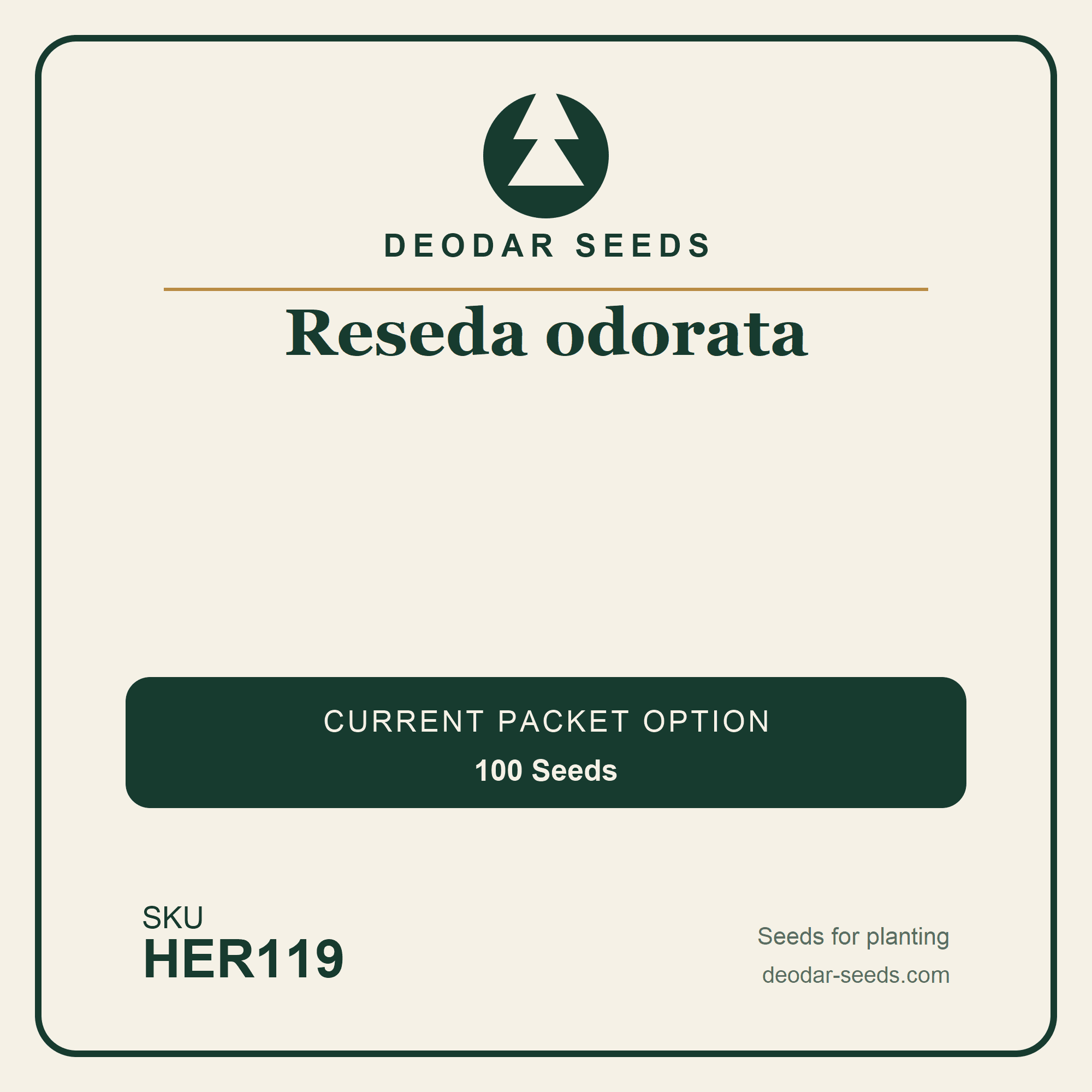 Reseda odorata Seeds