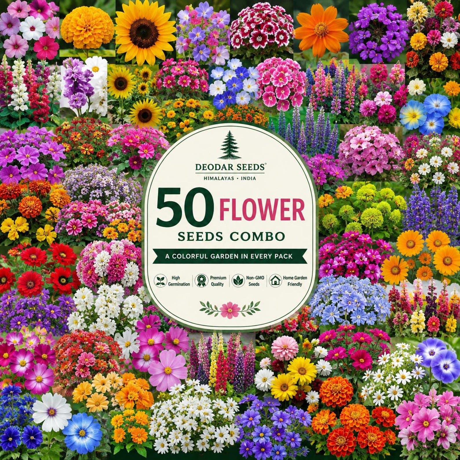 50 Flower Seeds Variety Pack, Colorful Garden Flower Seed Collection, Gift for Gardeners