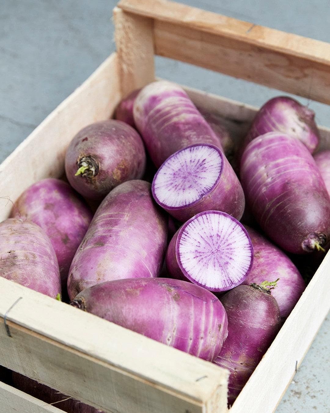 Radish purple Sango Seeds