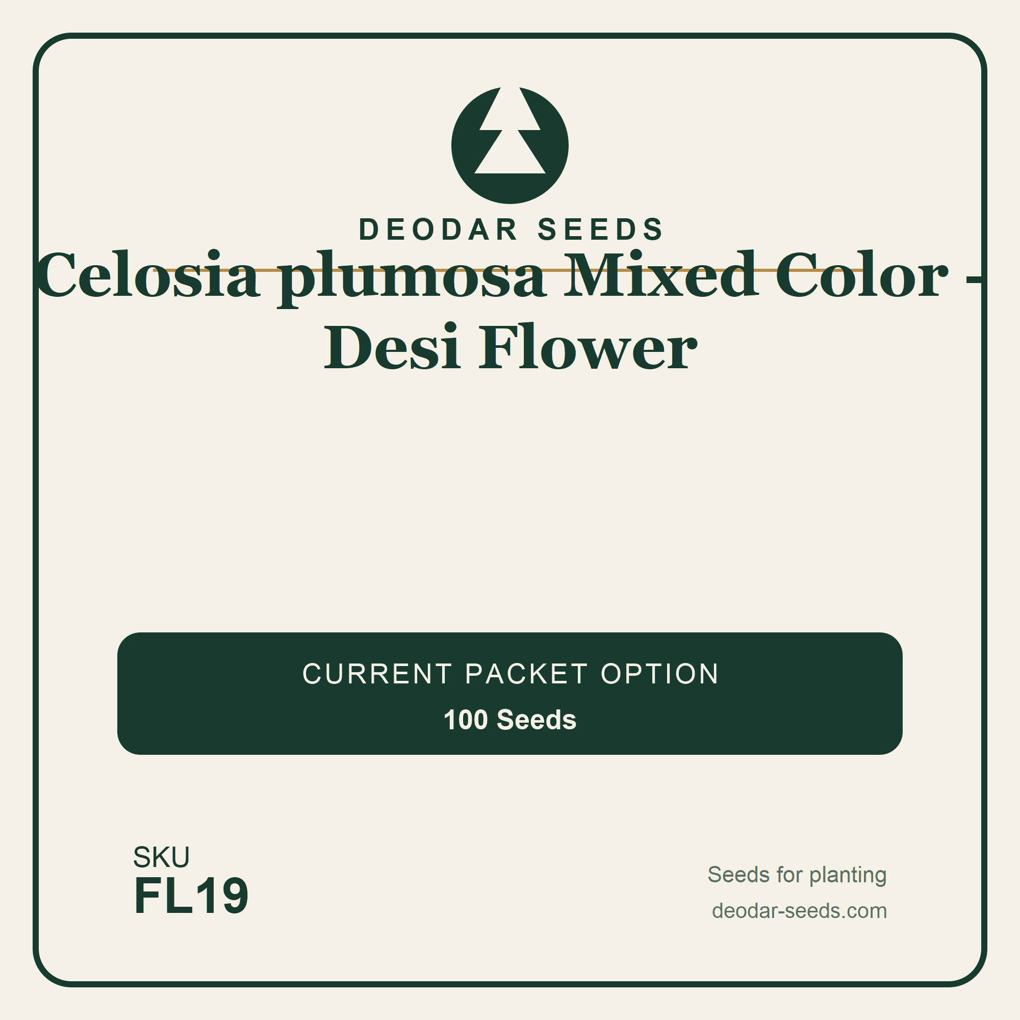 Celosia plumosa Mixed Color - Desi Flower Seeds