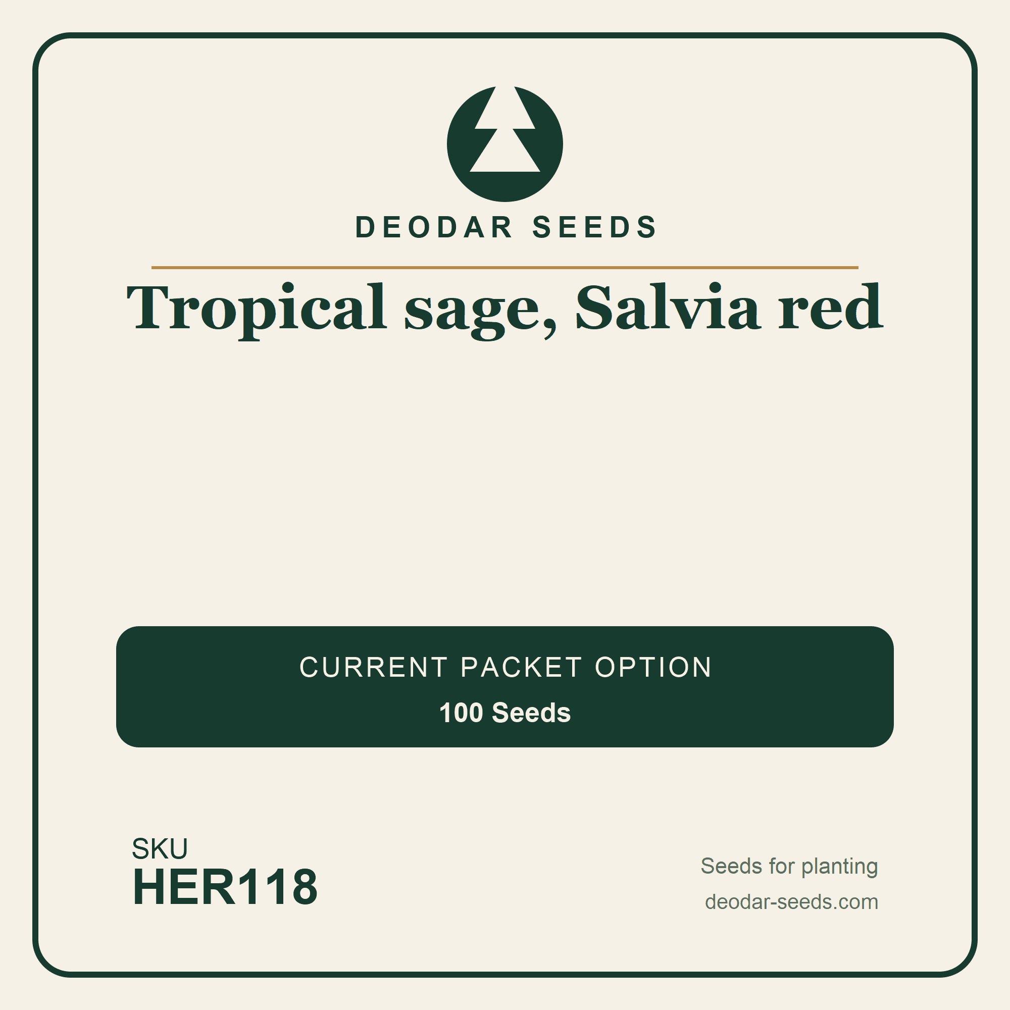 Tropical sage, Salvia red Seeds