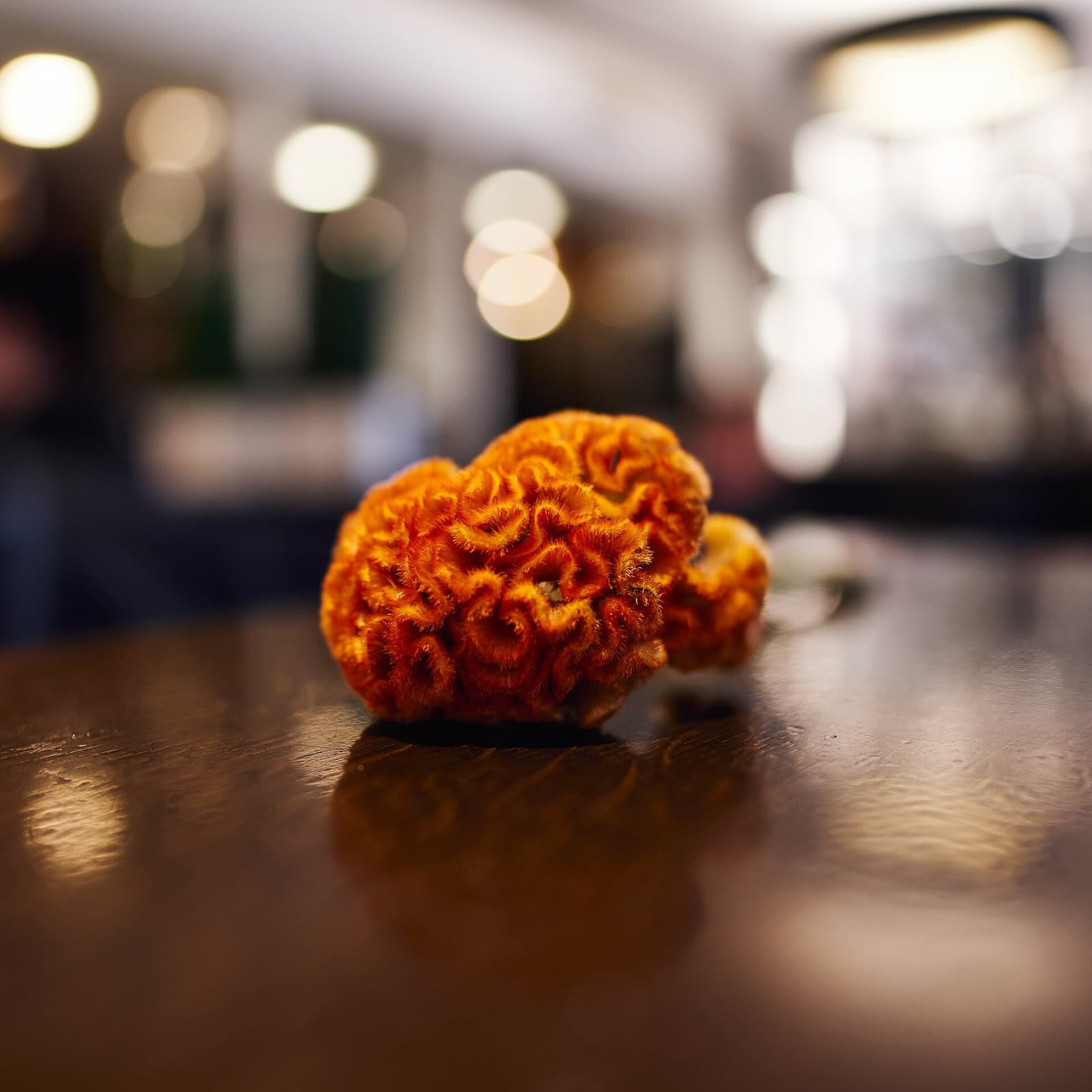 Reference image for Celosia
