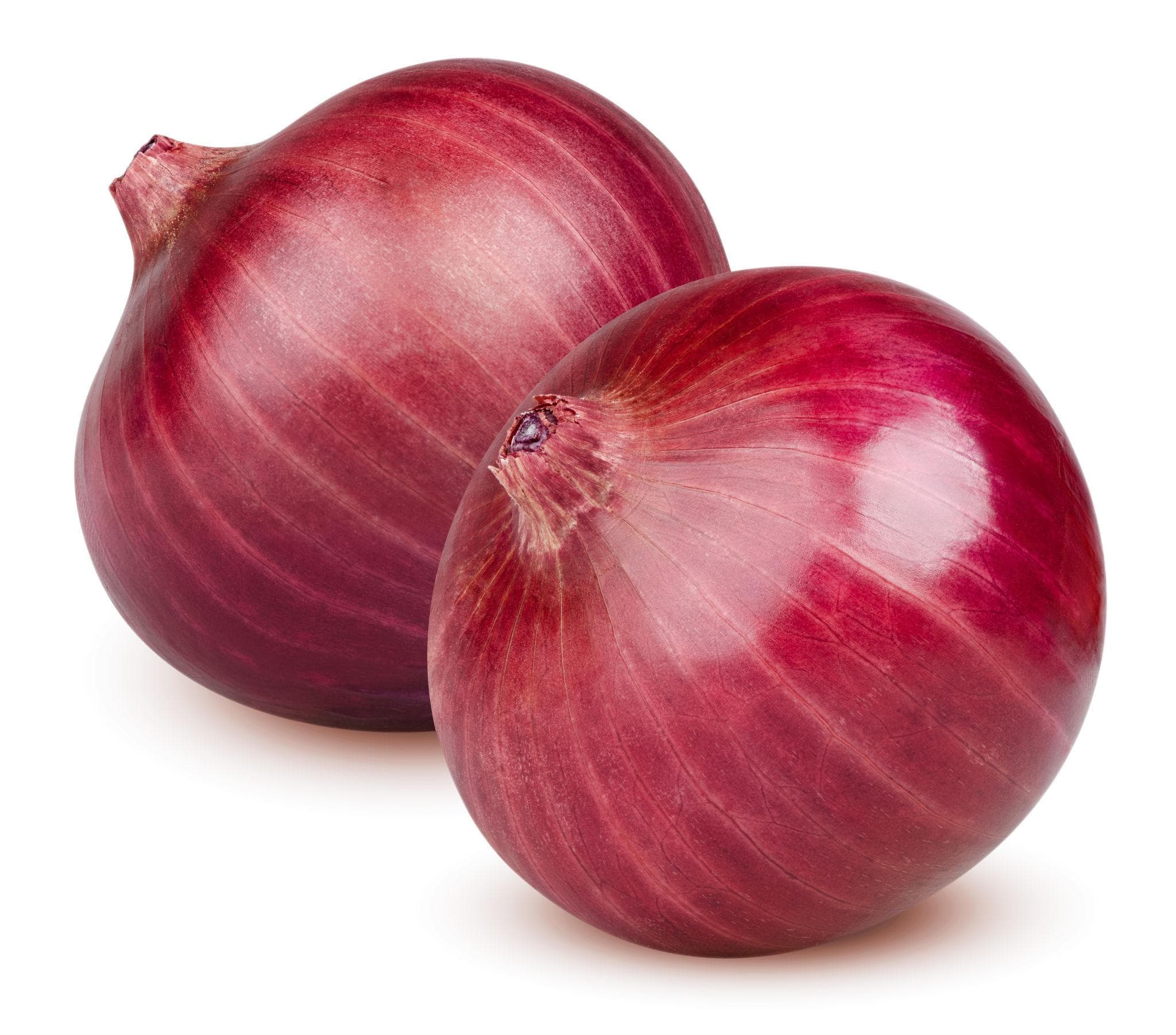 Onion selection red Seeds