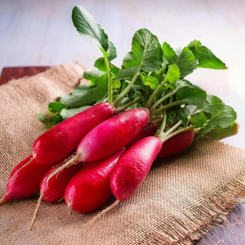 Radish Full Red (Mooli) Seeds