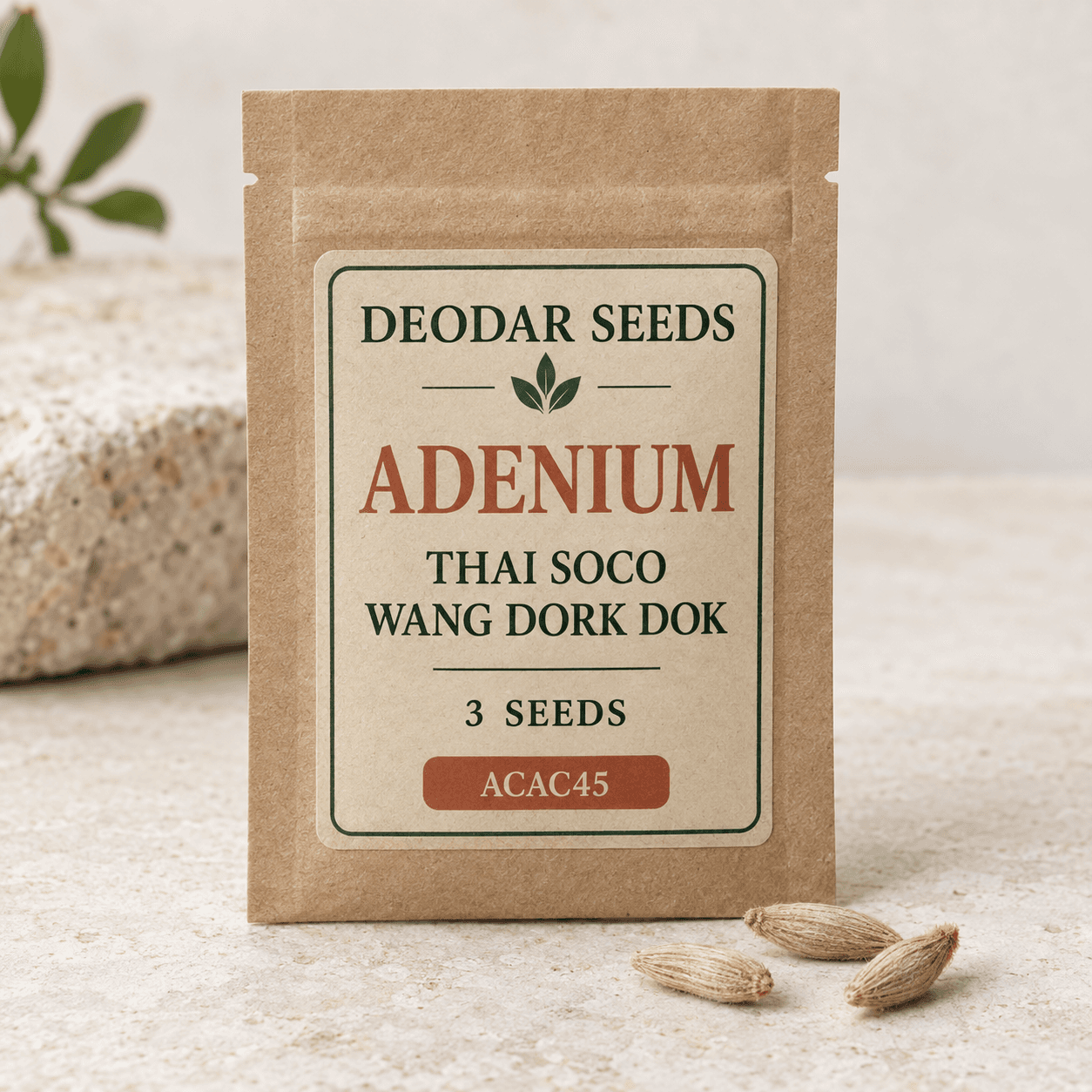 Adenium Thai Soco Wang Dork Dok Seeds
