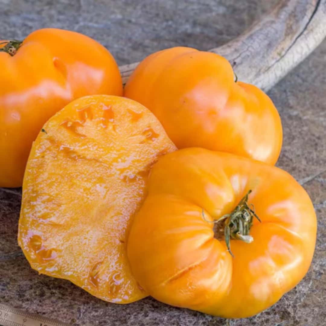 Tomato Heart of Ashgabat Seeds