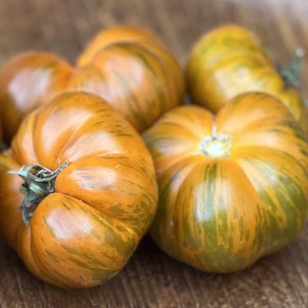 Tomato Kozula 83 Seeds