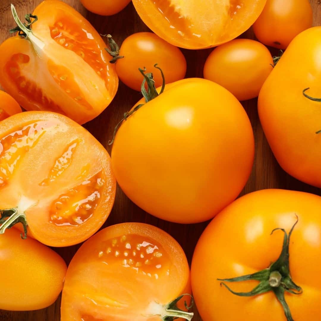 Tomato Amish Gold Seeds