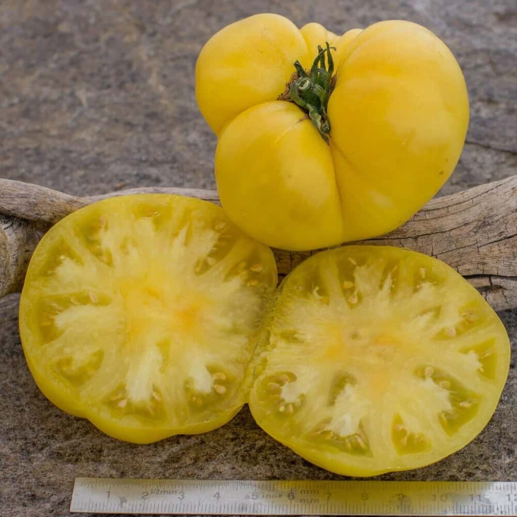 Tomato Dwarf CC McGee Seeds