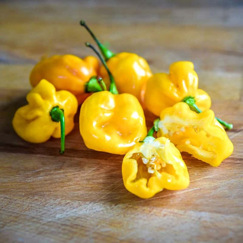 Hot pepper Cherry Yellow Seeds