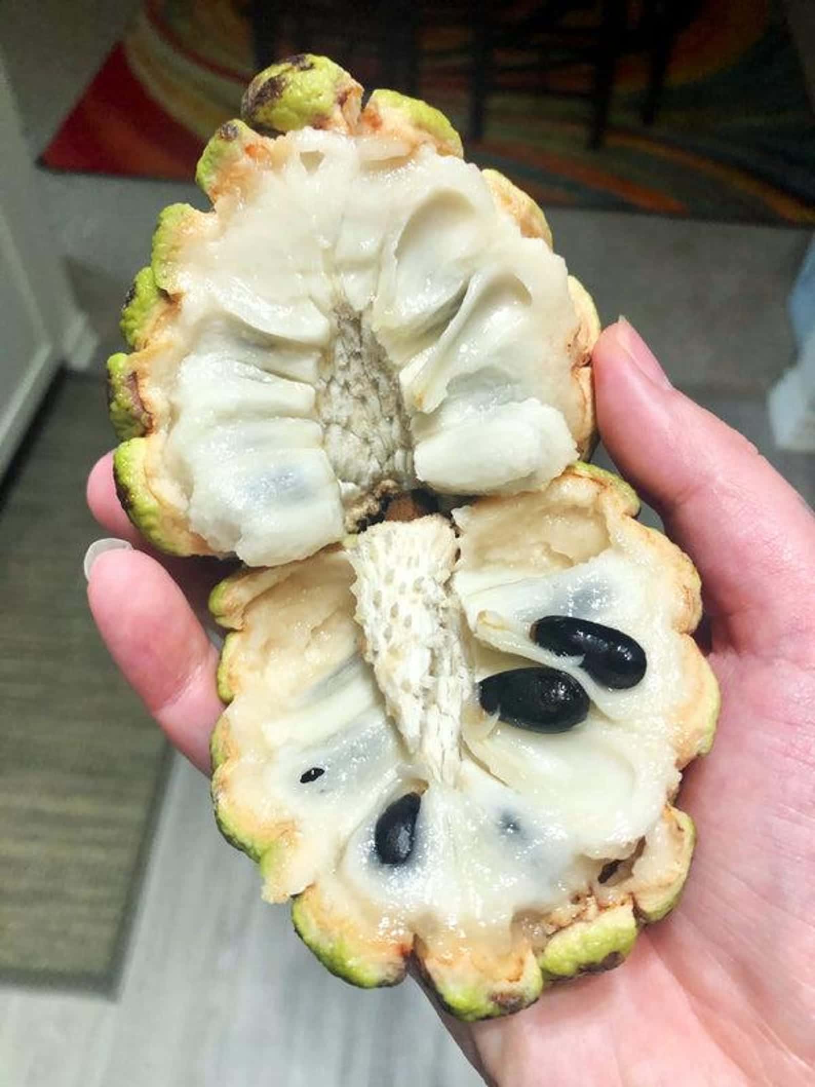 Sugar Apple Seeds (Annona squamosa)