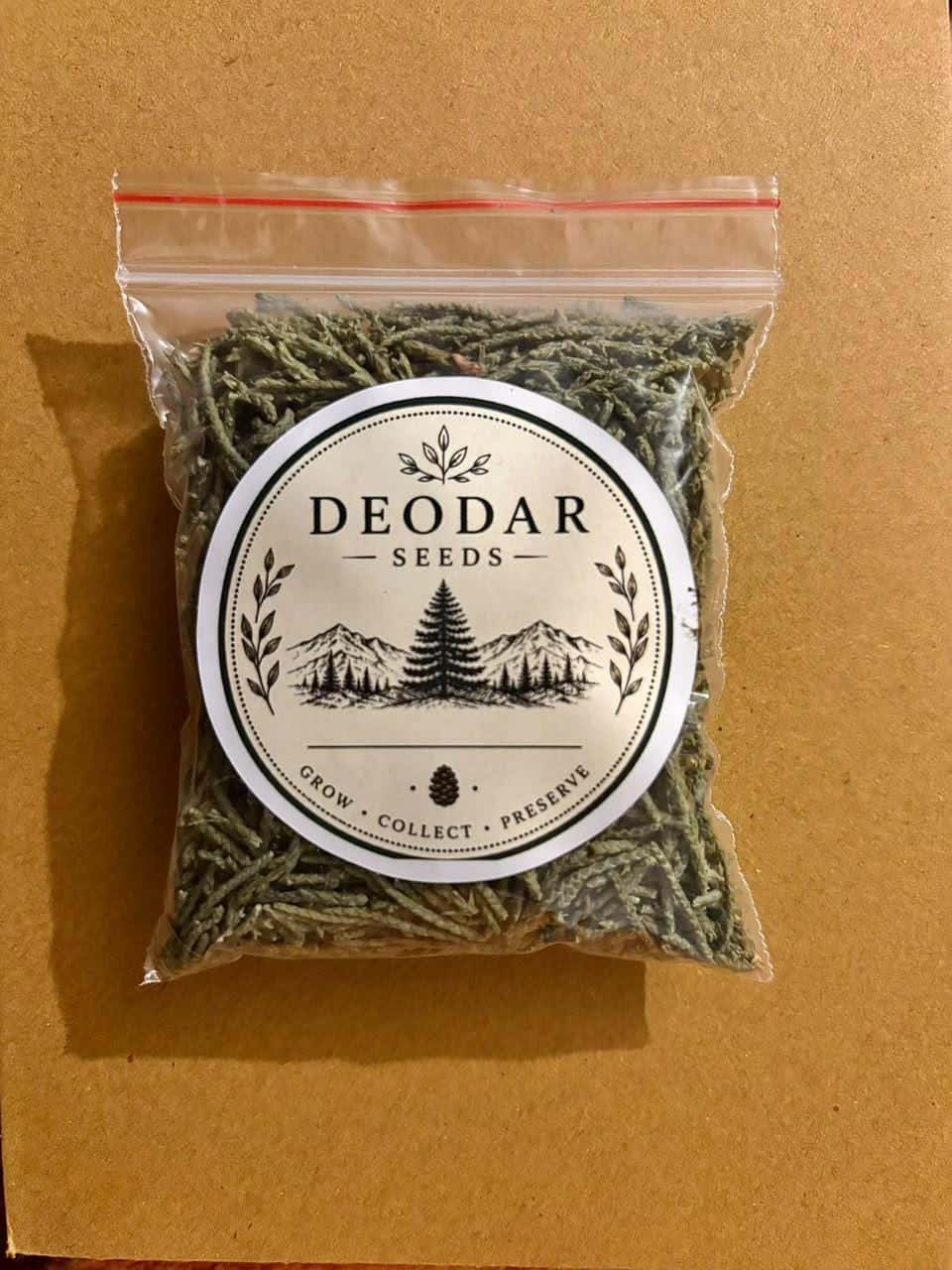 Dried Himalayan Juniper – 20 g Craft Material (Not Seeds)