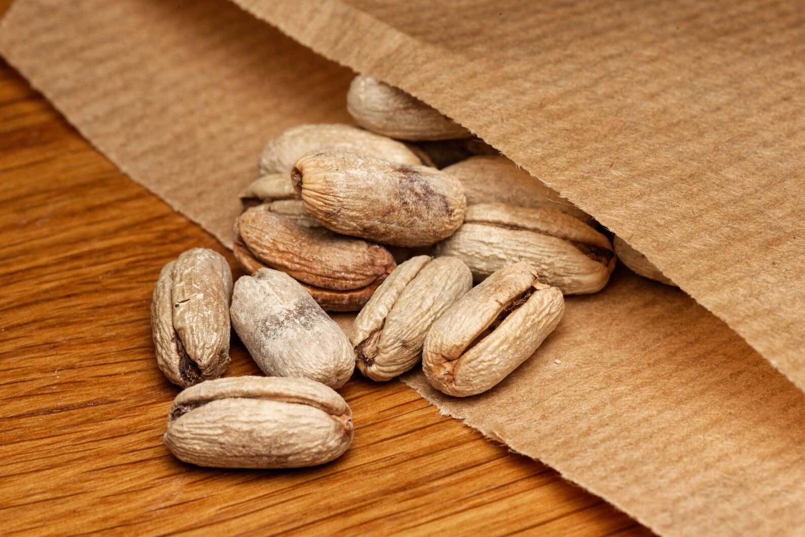 Cliff date palm Seeds