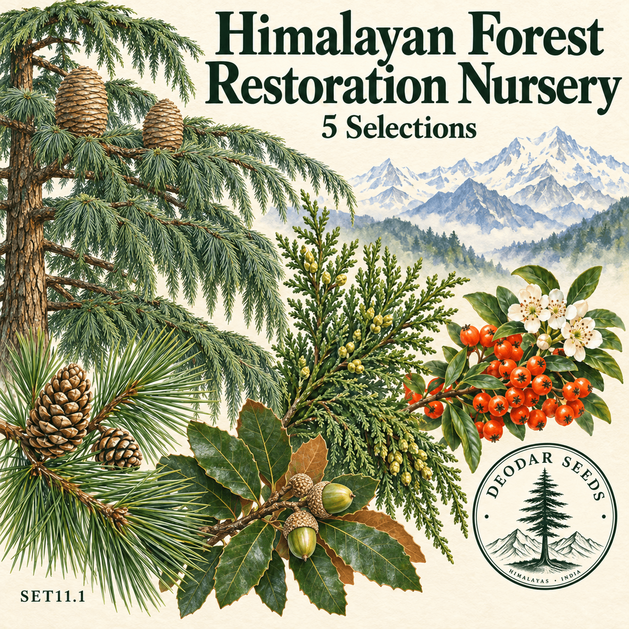 Himalayan Forest Restoration Nursery Collection — 5 Seed Selections