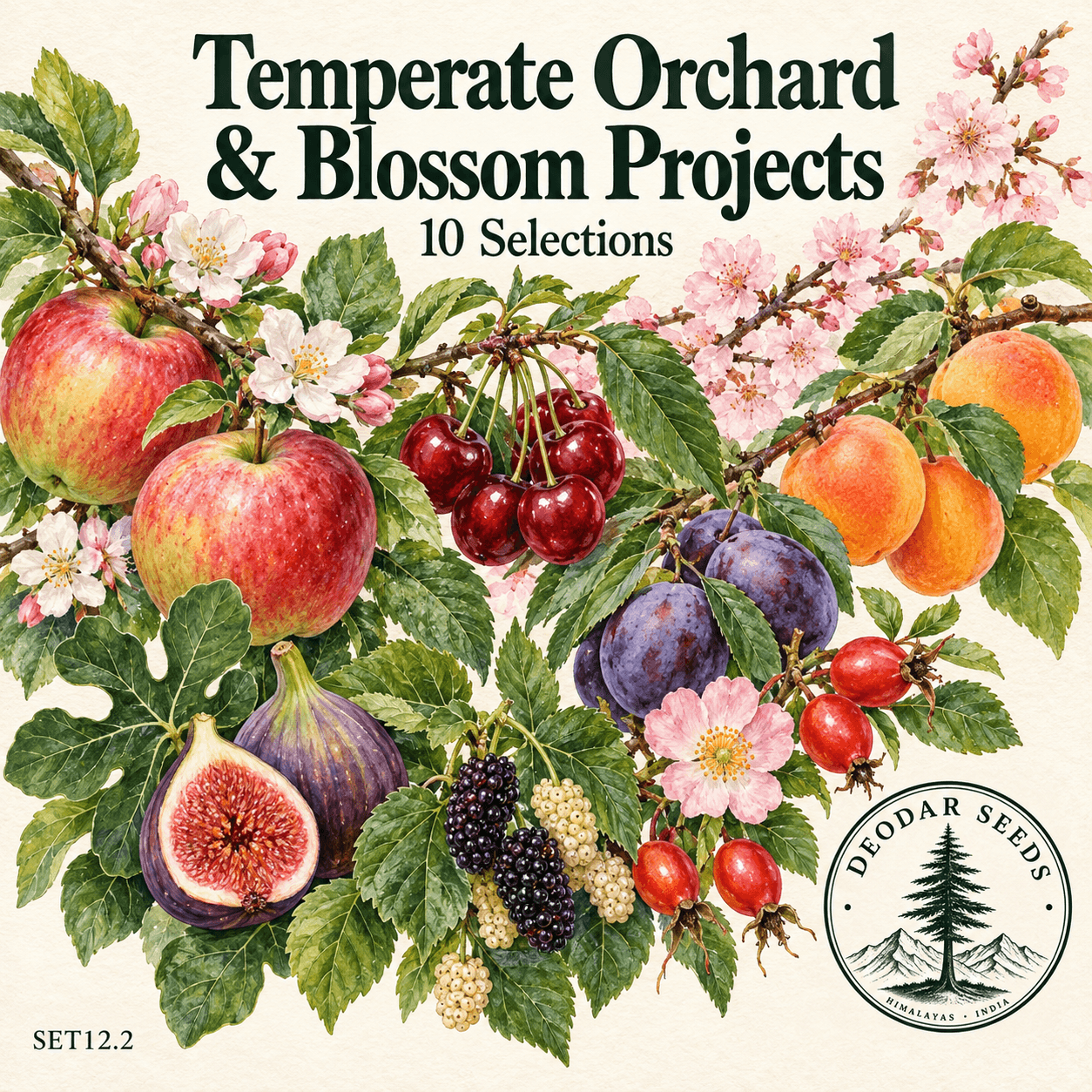 Temperate Orchard & Blossom Projects — 10 Seed Selections