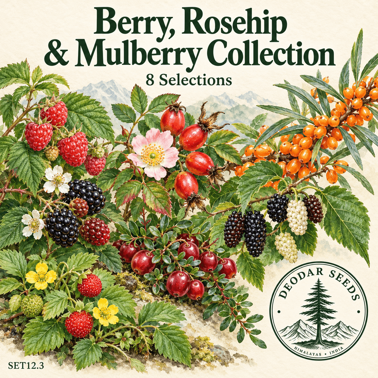 Berry, Rosehip & Mulberry Collection — 8 Seed Selections