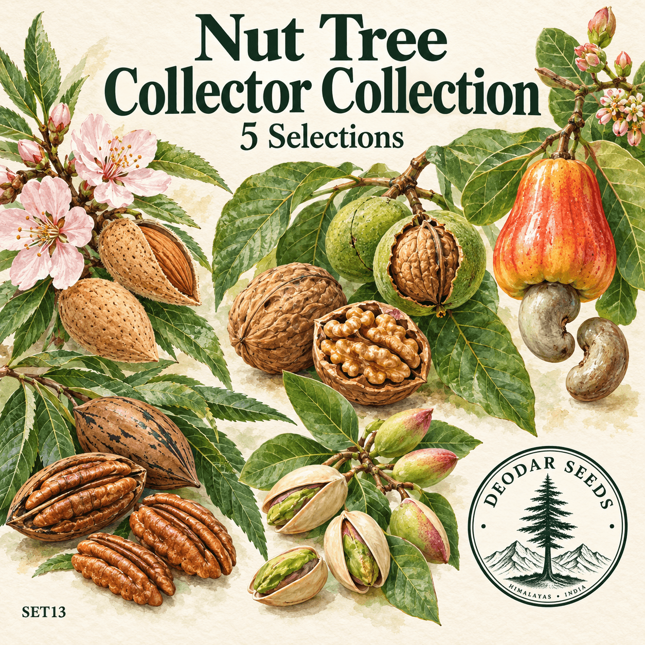 Nut Tree Collector Collection — 5 Seed Selections