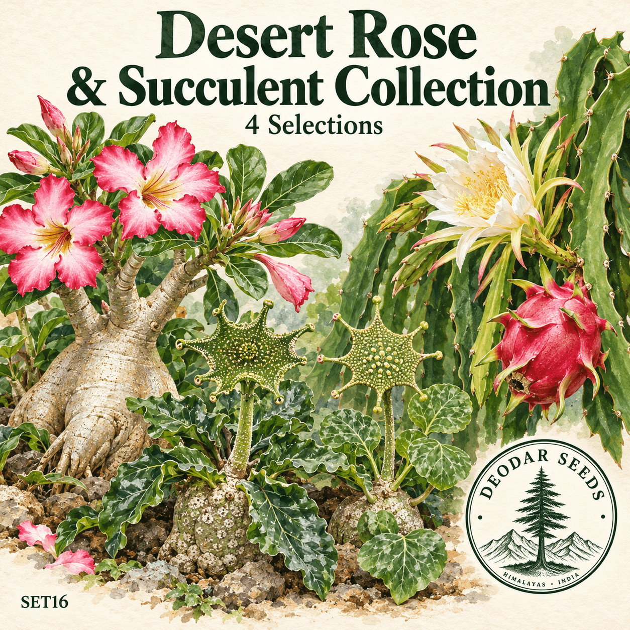 Desert Rose & Succulent Collection — 4 Seed Selections