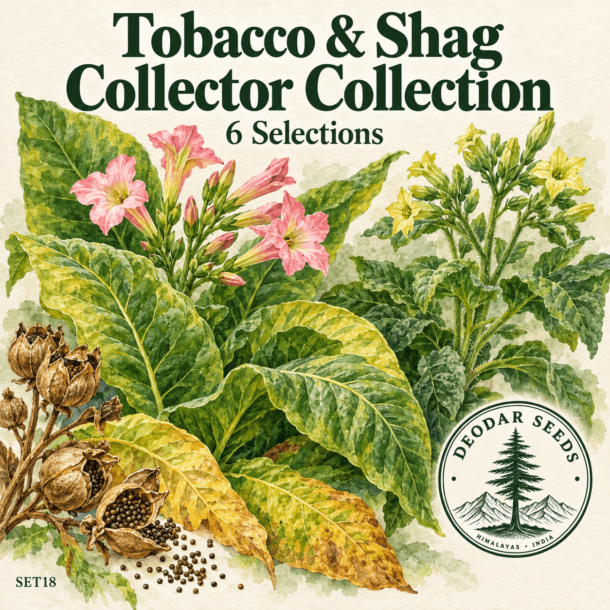 Tobacco & Shag Collector Collection — 6 Seed Selections