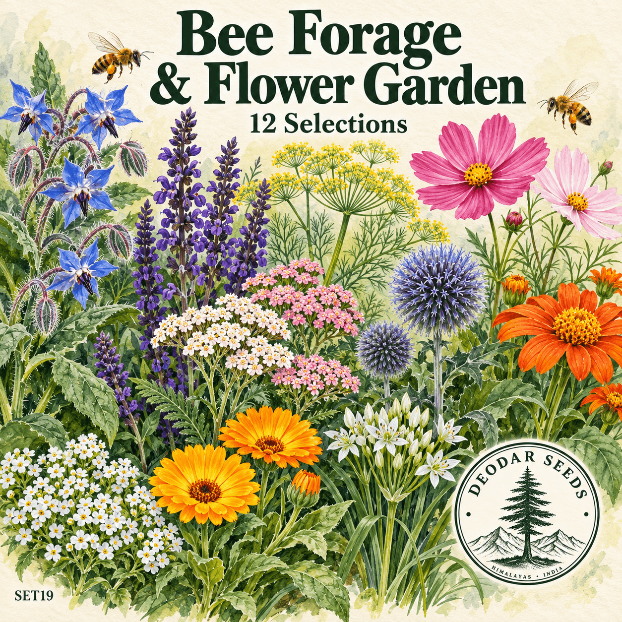 Bee Forage & Flower Garden Collection — 12 Seed Selections