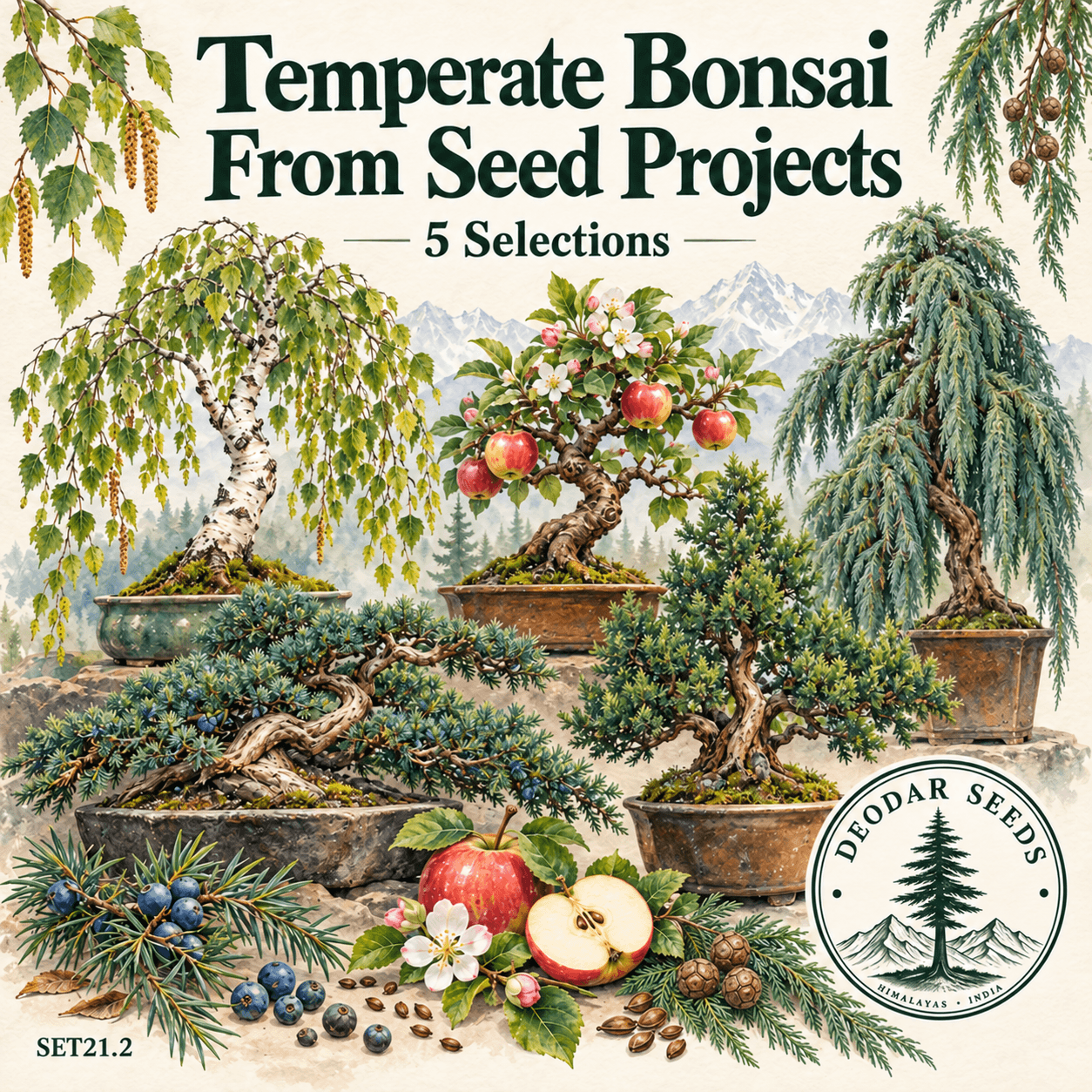 Temperate Bonsai From Seed Projects — 5 Seed Selections