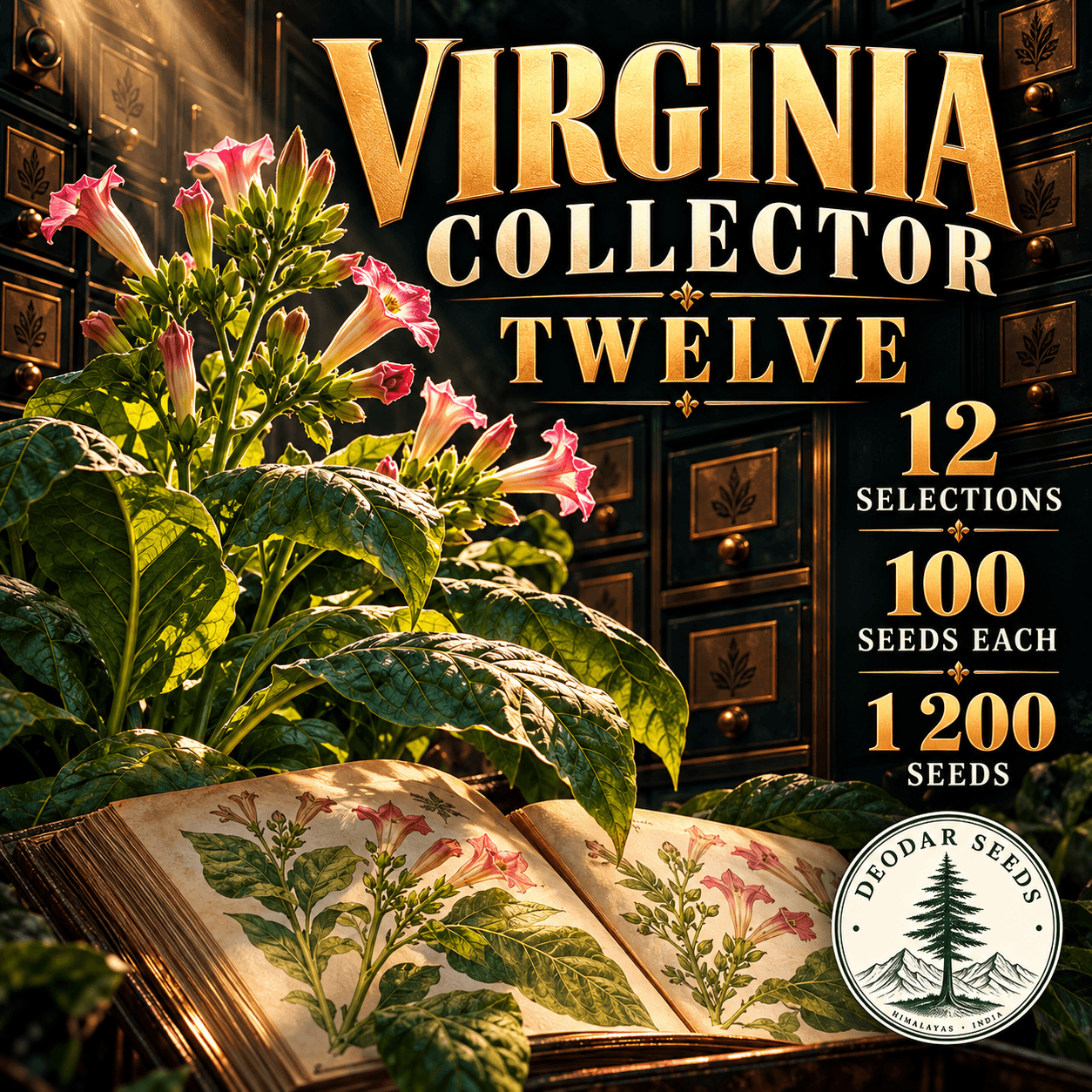 Virginia Collector Twelve — 12 Seed Selections | Tobacco / Nicotiana tabacum — AI-generated kit illustration