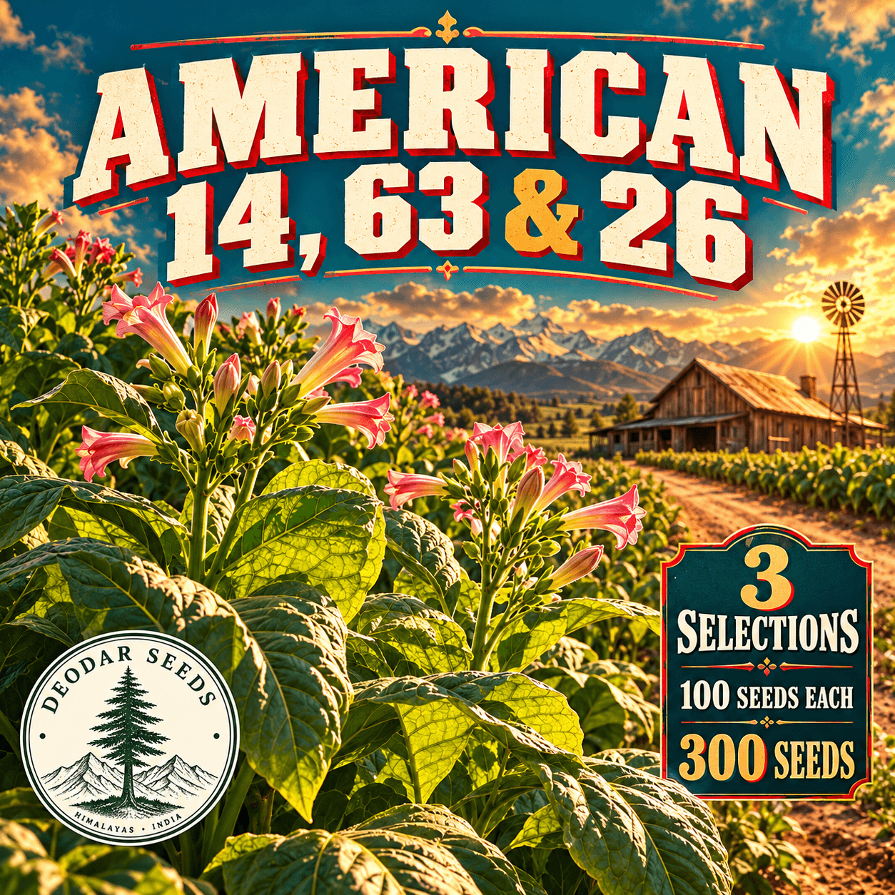 American 14, 63 & 26 — 3 Seed Selections | Tobacco / Nicotiana tabacum