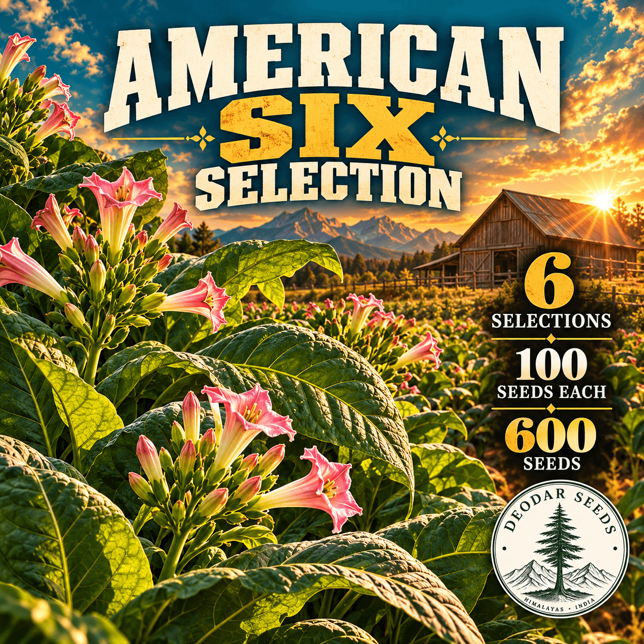 American Six Selection — 6 Seed Selections | Tobacco / Nicotiana tabacum — AI-generated kit illustration