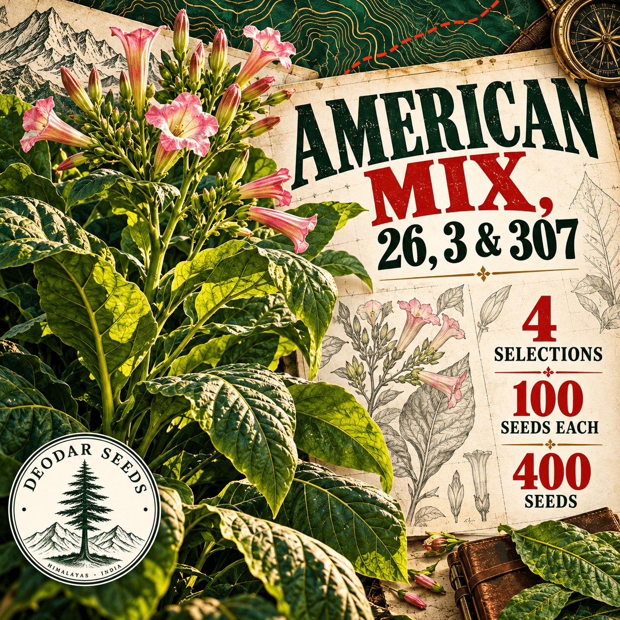 American Mix, 26, 3 & 307 — 4 Seed Selections | Tobacco / Nicotiana tabacum — AI-generated kit illustration