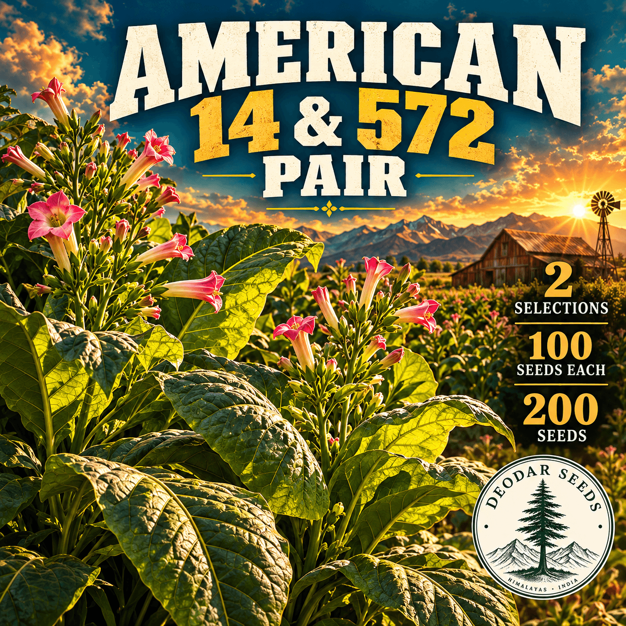 American 14 & 572 Pair — 2 Seed Selections | Tobacco / Nicotiana tabacum — AI-generated kit illustration