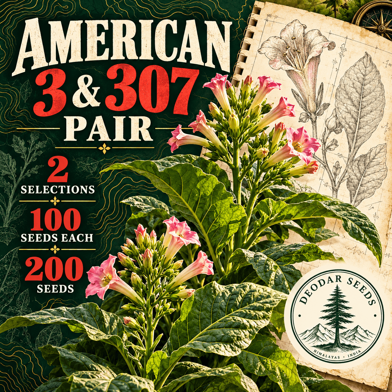 American 3 & 307 Pair — 2 Seed Selections | Tobacco / Nicotiana tabacum — AI-generated kit illustration