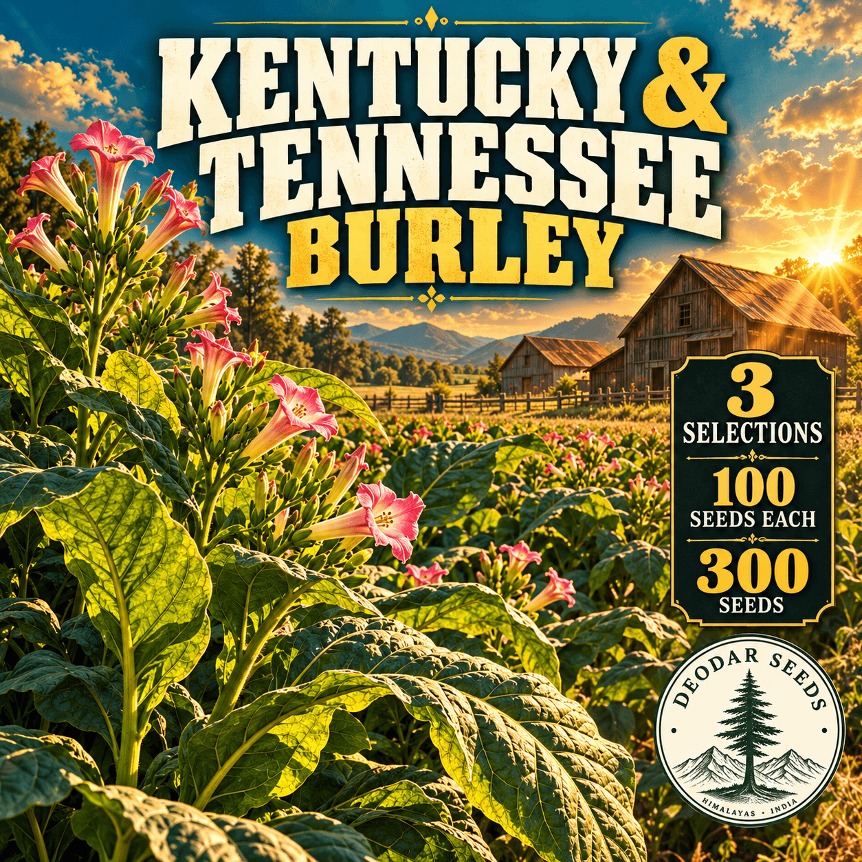 Kentucky & Tennessee Burley — 3 Seed Selections | Tobacco / Nicotiana tabacum — AI-generated kit illustration