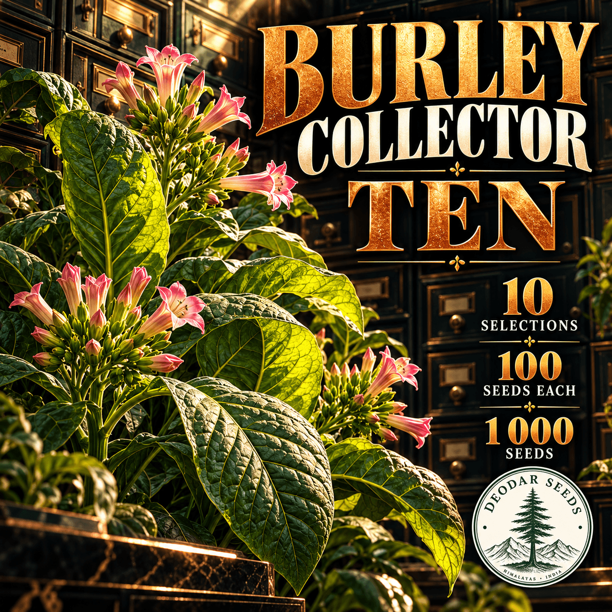 Burley Collector Ten — 10 Seed Selections | Tobacco / Nicotiana tabacum — AI-generated kit illustration