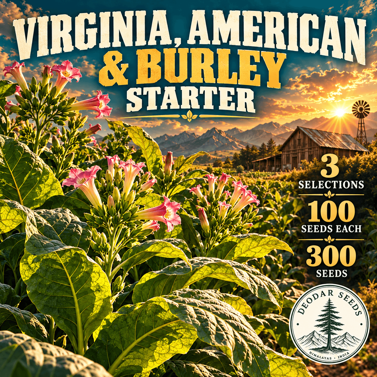 Virginia, American & Burley Starter — 3 Seed Selections | Tobacco / Nicotiana tabacum — AI-generated kit illustration