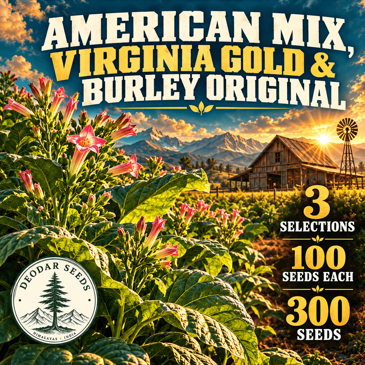 American Mix, Virginia Gold & Burley Original — 3 Seed Selections | Tobacco / Nicotiana tabacum — AI-generated kit illustration