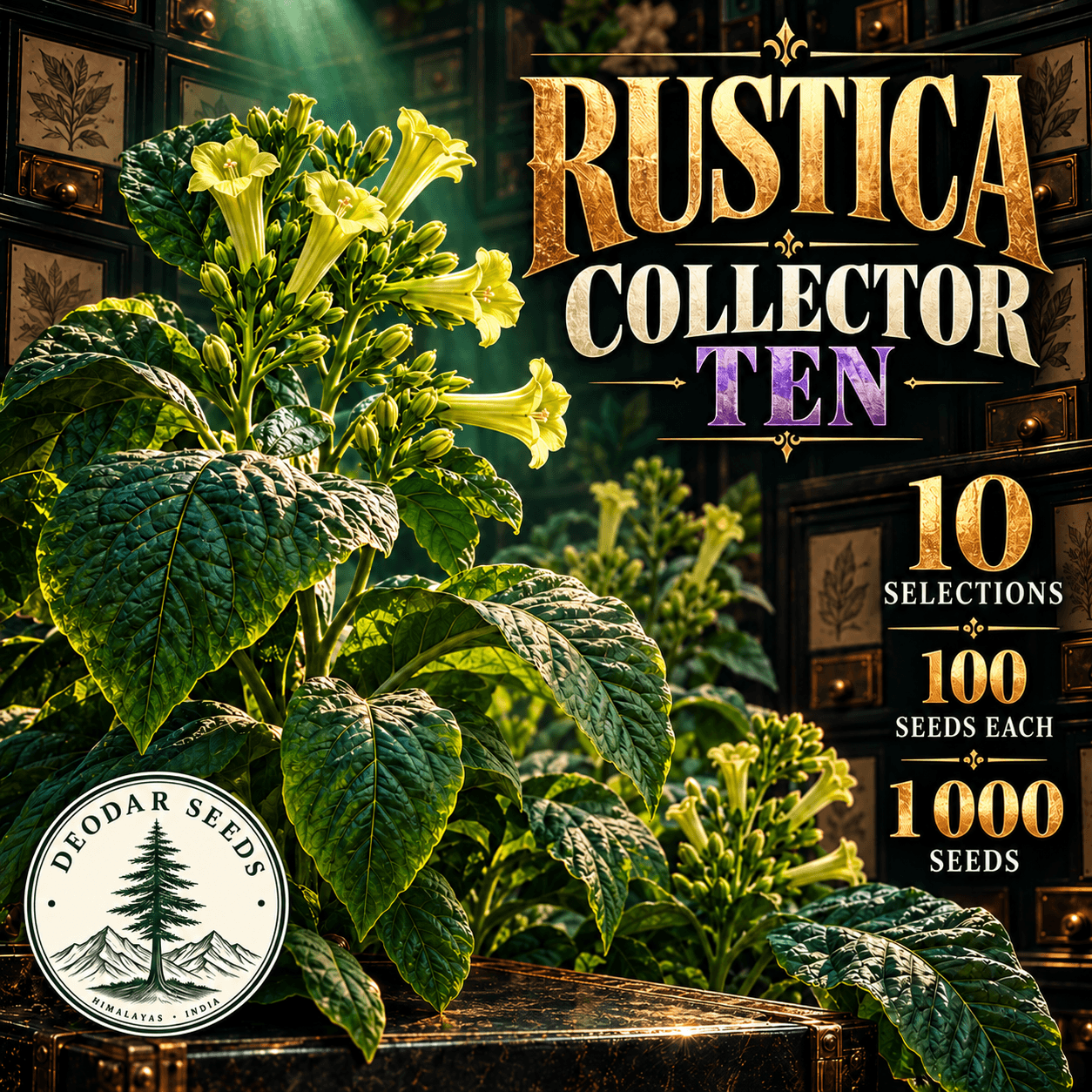 Rustica Collector Ten — 10 Seed Selections | Tobacco / Nicotiana rustica — AI-generated kit illustration