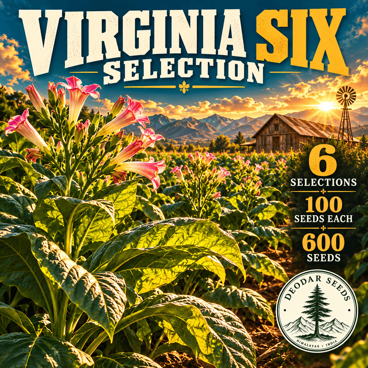 Virginia Six Selection — 6 Seed Selections | Tobacco / Nicotiana tabacum — AI-generated kit illustration